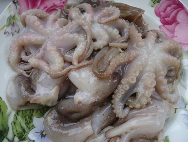 冰鮮八爪魚(yú)