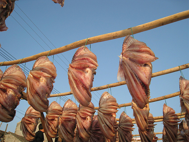 紅魚(yú)干